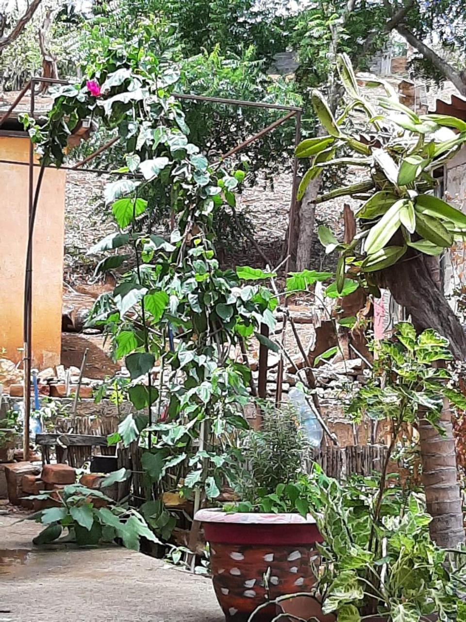 Готель El Jardin Сан-Хуан-дель-Сур Екстер'єр фото
